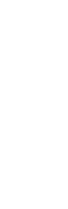 aslanta line