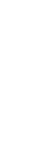 aslanta line