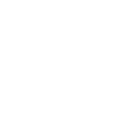 computer section